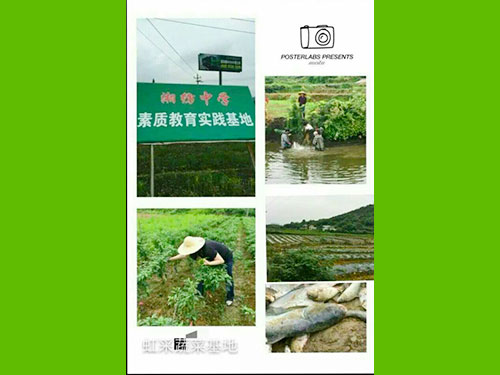 蔬菜基地2